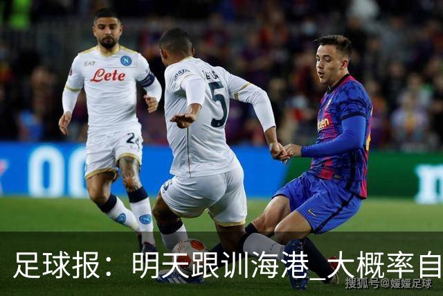 足球报：明天跟训海港 大概率自由身加盟 外援要补强